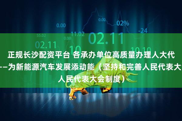 正规长沙配资平台 各承办单位高质量办理人大代表建议——为新能源汽车发展添动能（坚持和完善人民代表大会制度）