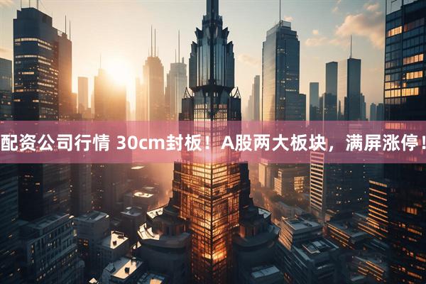 配资公司行情 30cm封板！A股两大板块，满屏涨停！