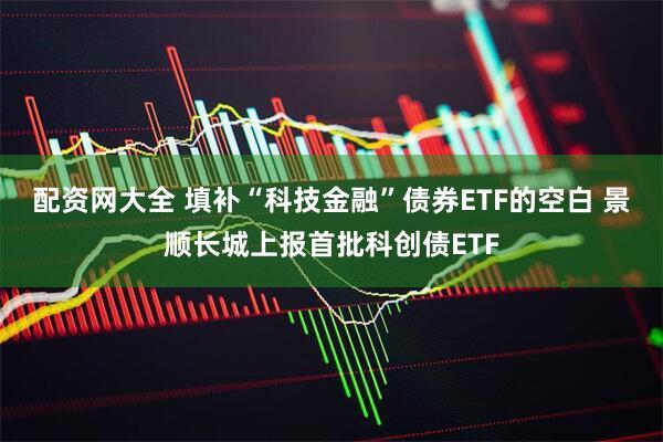 配资网大全 填补“科技金融”债券ETF的空白 景顺长城上报首批科创债ETF